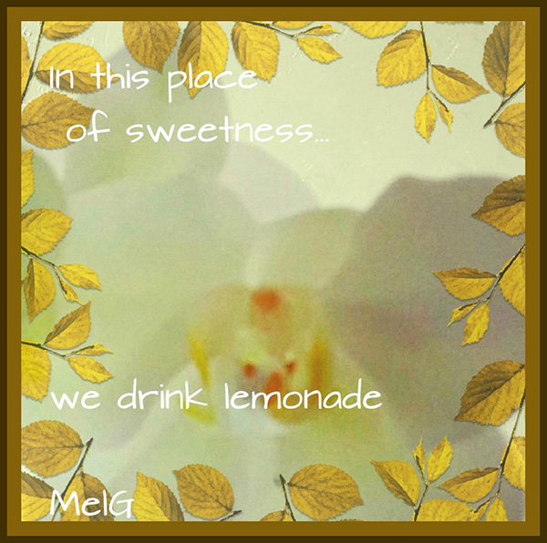 'in this place of sweetness... / we drink lemonade" by Mary Ellen Gambutti