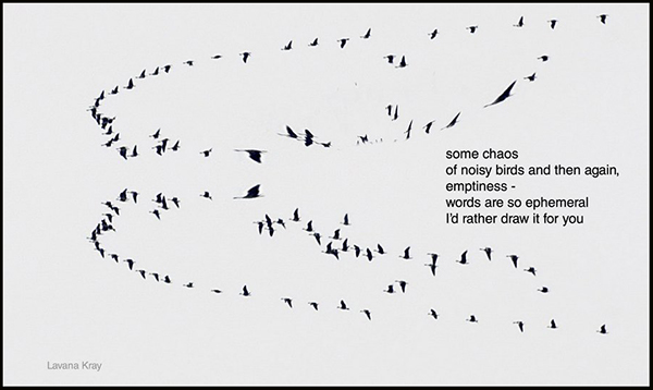 'some chaos / of noisy birds and then again, / emptiness— / words are so ephemeral / I'd rather draw it for you' by Lavana Kray