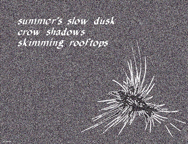 'summer's slow dusk / crow shadows / skimming rooftops' by Jophn Hawkhead