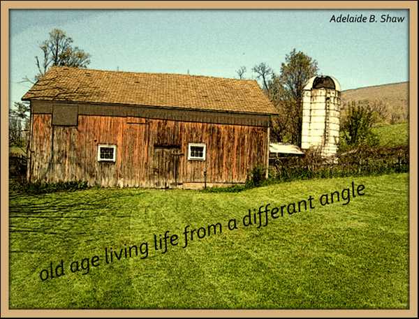 'old age living life from a different angle' by Adelaide Shaw