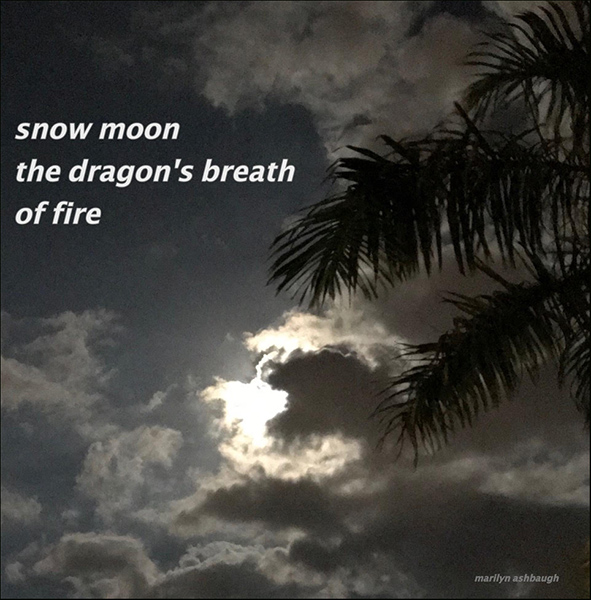 'snow moon / the dragon's breath / of fire' by Marilyn Ashbaugh.