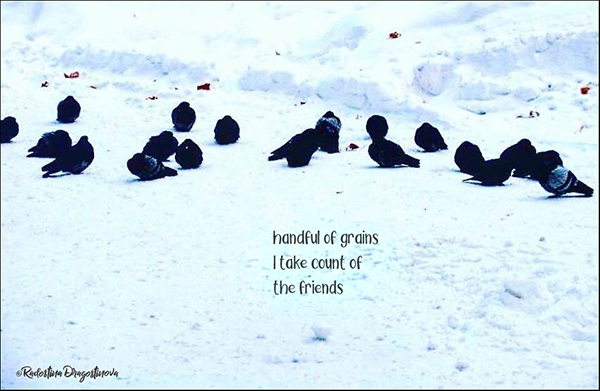 'handful of grains / I take count of / the friends' by Radostina Dragostinova