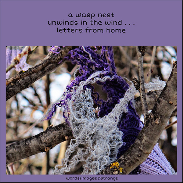 'a wasp nest / unwinds in the wind... / letters from home' by Debbie Strange.  Haiku first published in Presence 62 Nov 2018