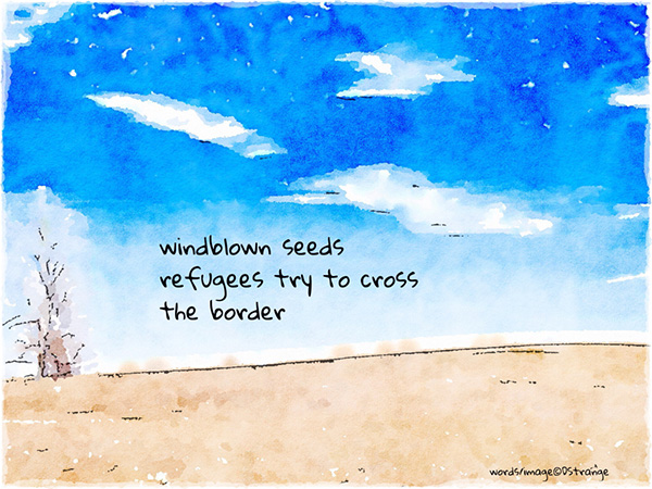 'windblown seeds / refugees try to cross / the border' by Debbie strange. Haiku first publishd in Creatrix #44 March 2019