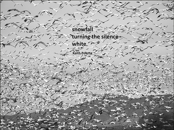 'snowfall / turning the silence / white' by Keith Polette
