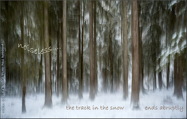 'noiseless... / the track in the snow / ends abruptly' by Claudia Brefeld. Art by Paul Bernhard