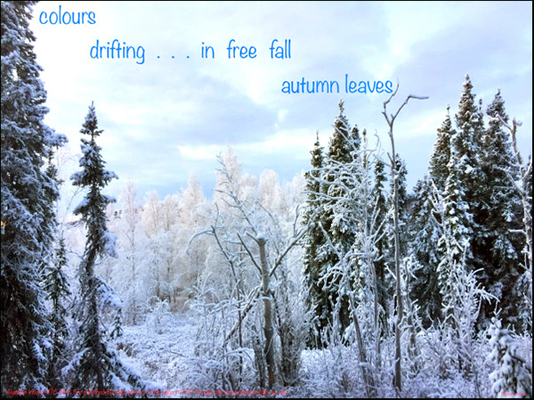 'colors / drifting... in free fall / autumn leaves' by Bukusai Ashagawa