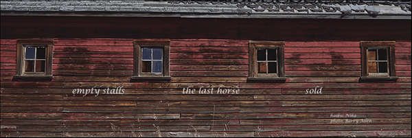 'empty stalls / the last horse / sold' by Nika. Art by Barry Allen