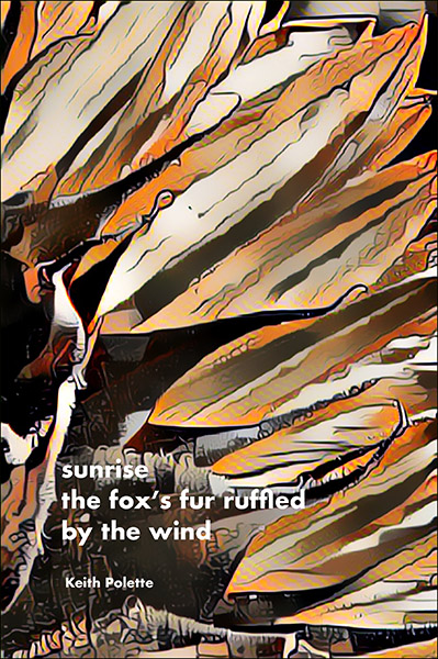'sunrise / the fox's fur ruffled / by the wind' by Keith Polette