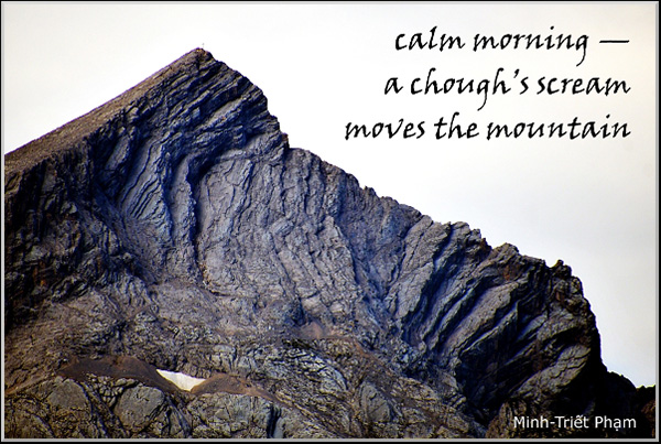 'calm morning— / a chough's scream / moves the mountain' by Ming-Triet Pham