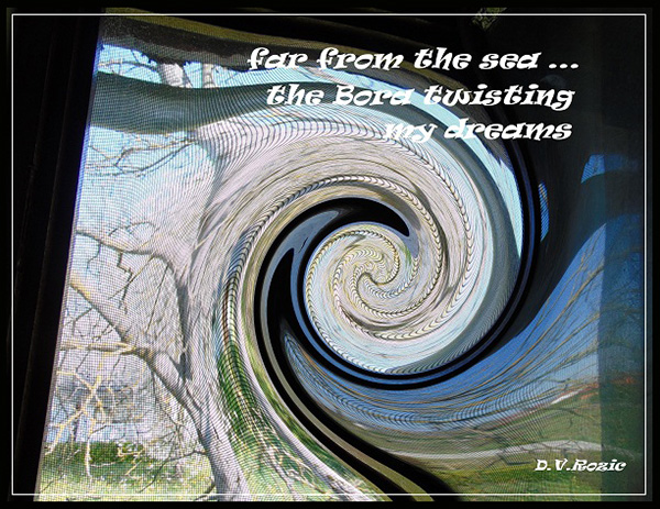 'far from the sea... / the bora twisting / my dreams' by DV Rozic