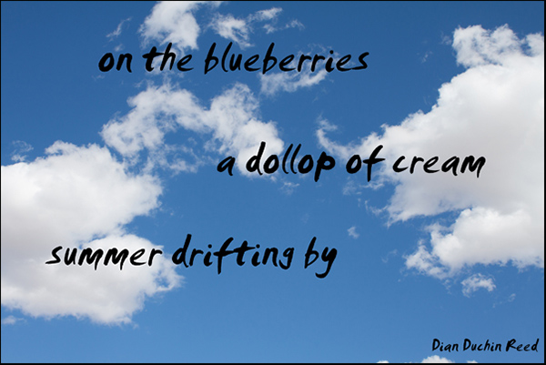 'on the blueberries / a dollop of cream / summer drifting by' by Dian Reed