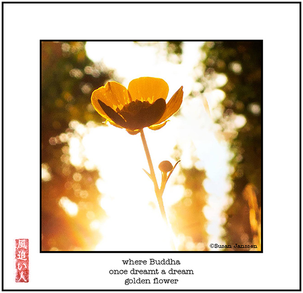 'where buddha / once dreamed a dream / golden flower' by Damir Damir