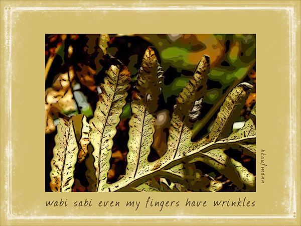 'wabi sabi even my fingers have wrinkles' by Barbara Kaufmann