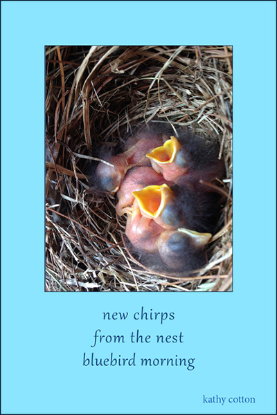 'new chirps / from the nest / bluebird morning' by Kathy Cotton