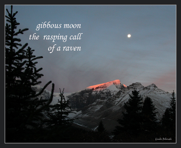 'gibbous moon / the rasping call / of a raven' by Linda Pilarski