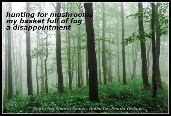 'hunting for mushrooms / my basket full of fog / a disappointment' by Franjo Ordanic. Art by Sandra Samec