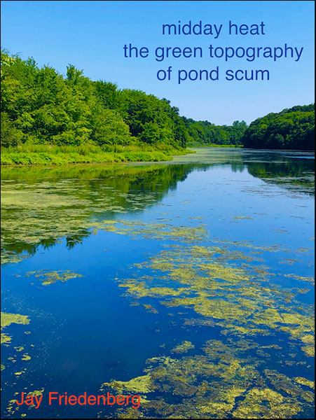'midday heat / the green topography / of pond scum' by Jay Friedenberg