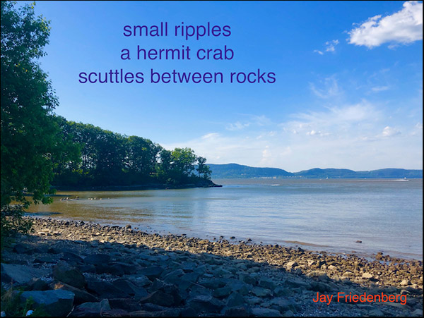 'small ripples / a hermit crab /  scuttles between rocks' by Jay Friedenberg