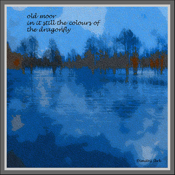'old moor / in it still the colors of / the dragonfly' by Dimitrij Skrk