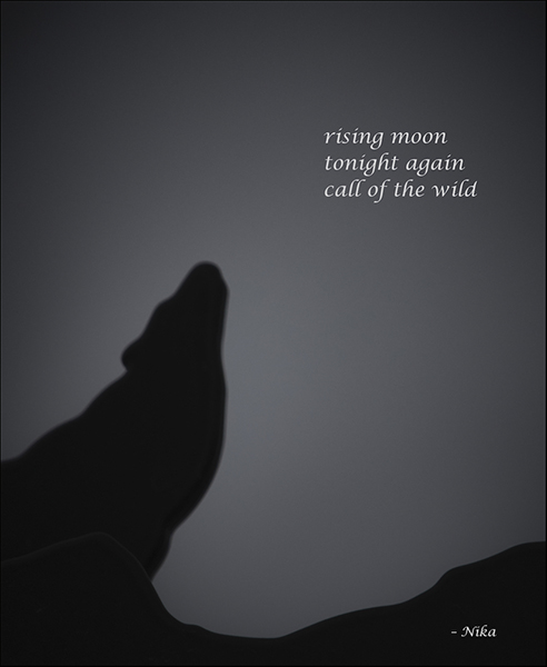 'rising moon / tonight again / call of the wild' by Nika