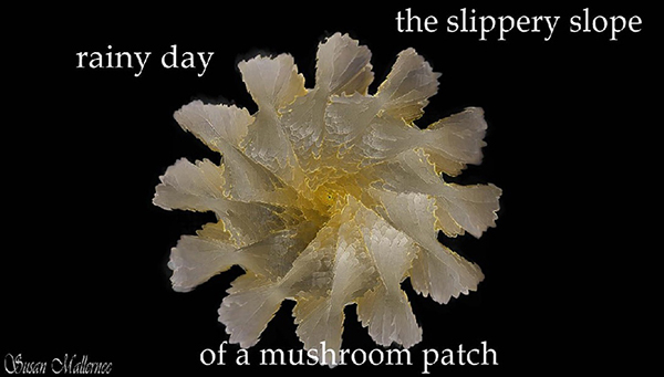 'rainy day / the slippery slope / of a mushroom patch' by Susan Mallernee