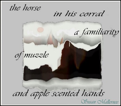 the horse / in his corral / a familiarity / of muzzle / and applescented hands' by Susan Mallernee