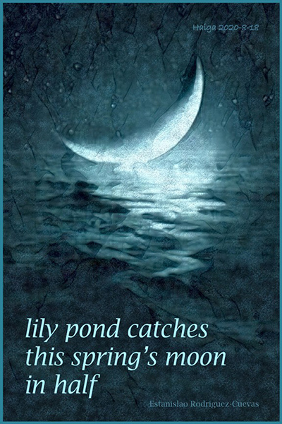 'lily pond catches / this spring's moon / in half' by Estanislao Rodriguez-Cuevas