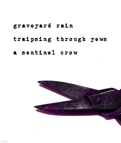 'graveyard rain / traipsing through the yews / a sentinel crow' by John Hawkhead