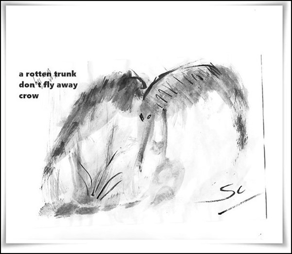 'a rotten trunk / don't fly away / crow' by Slawa Sibiga