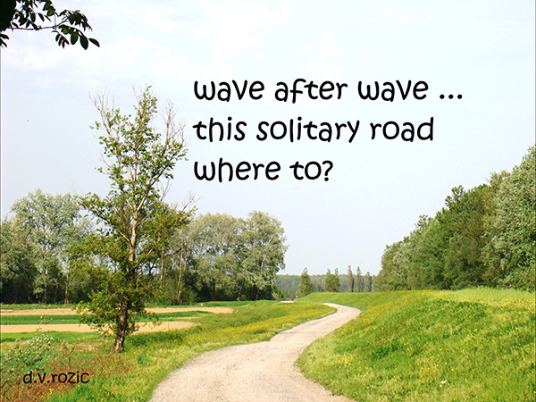 'wave after wave... / this solitary road / where to?" by Djurdja Rozic