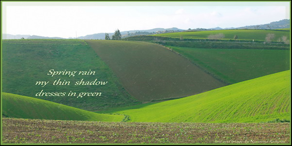 'spring rain / my thin shadow / dresses in green' by Nazarena Rampini