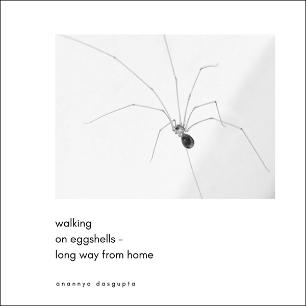 'walking / on eggshells / long way from home' by Anannya Dasgupta