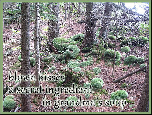 'blown kisses / a secret ingredient / in grandma's soup' by Maxianne Berger. Art by CFM