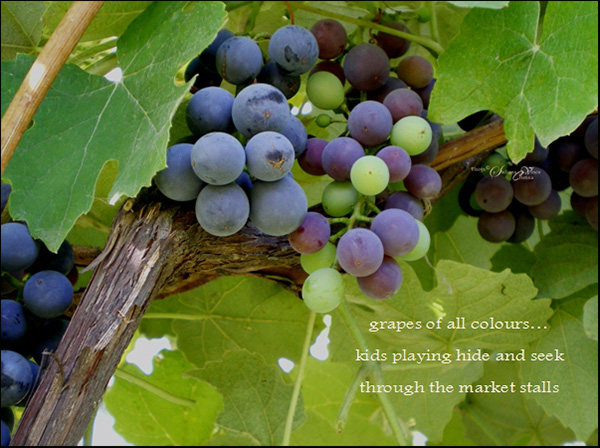 'grapes of all colours... / kids playing hide and seek / through the market stalls' by Steliana Voicu