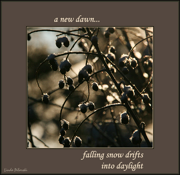 'a new dawn... / falling snow drifts / into daylight' by Linda Pilarski