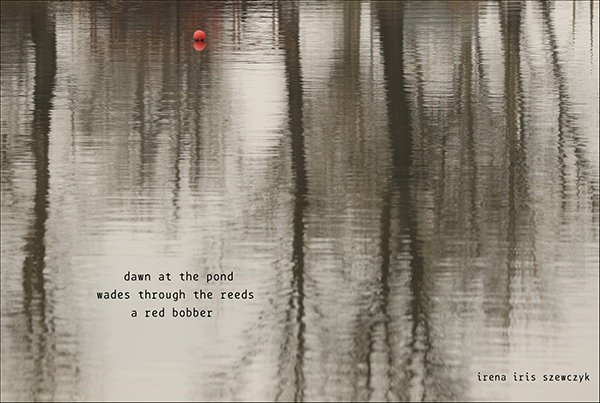 'dawn at the pond / wades through the reeds / a red bobber' by Irena Szewczyk