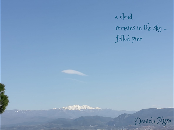 'a cloud / remains in the sky... / felled pine' by Daniela Misso