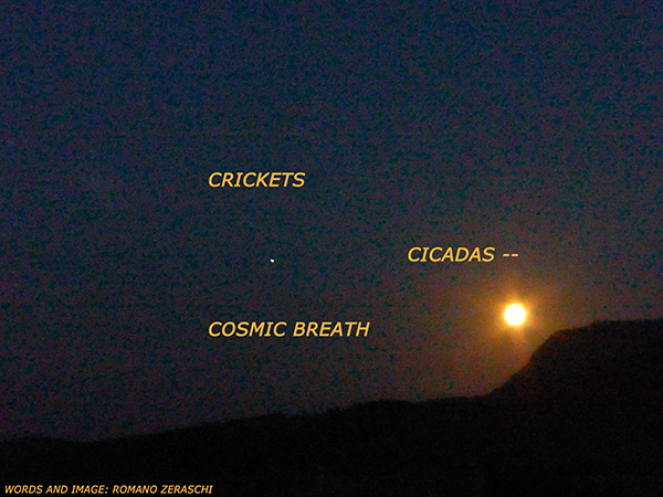 'crickets /  cicadas— / cosmic breath' by Romano Zeraschi