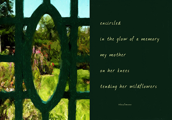 'encircled / in the glow of a memory /  my mother / on her knees /  tending her wildflowers' by Barbara Kaufmann