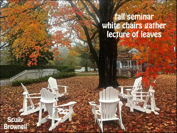'fall seminar / white chairs gather / lecture of leaves' by Ron Scully. Art by Lisa Brownell