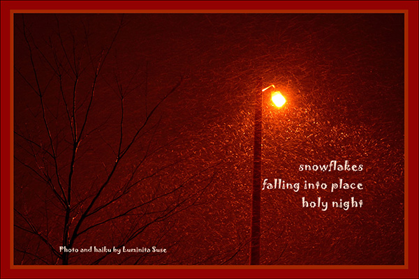 'snowflakes /  falling into place / holy night' by Luminata Suse