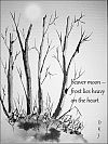 'beaver moon / frost lies heavy / on the heart' by David Jibson