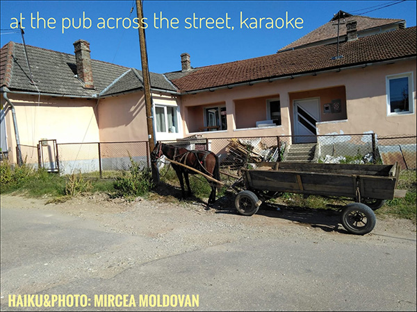 'at the pub across the street, karaoke' by Mircea Moldovan