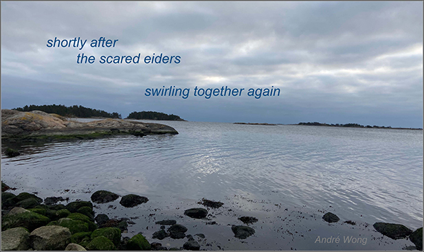 'shortly after / the scared eiders / swirling together again' by Andre Wong