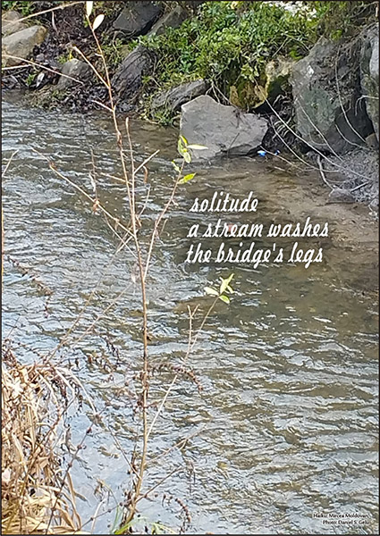 'solitude / a stream washes / the bridge's legs' by Mircea Moldovan