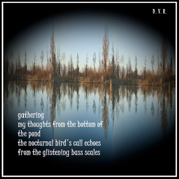 'gathering / my thoughts from the bottom / the pond / the nocturnal bird's call echoes / from the glistening bass scales' by Djurdja Rozic