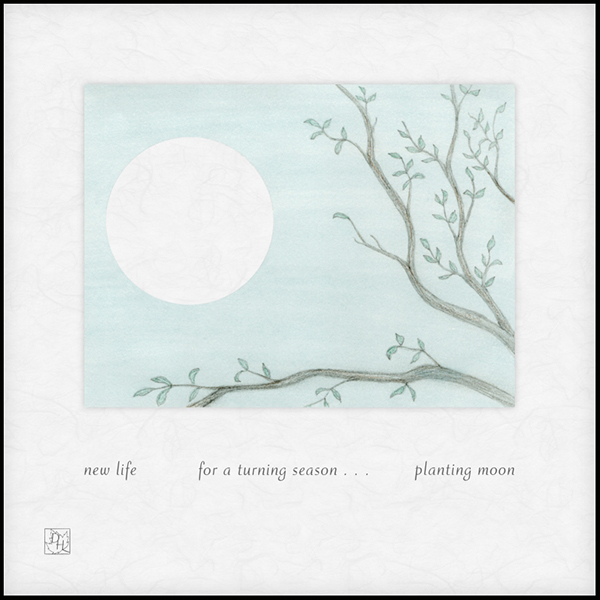 'new life / for a turning season... / planting moon' by Dan Hardison