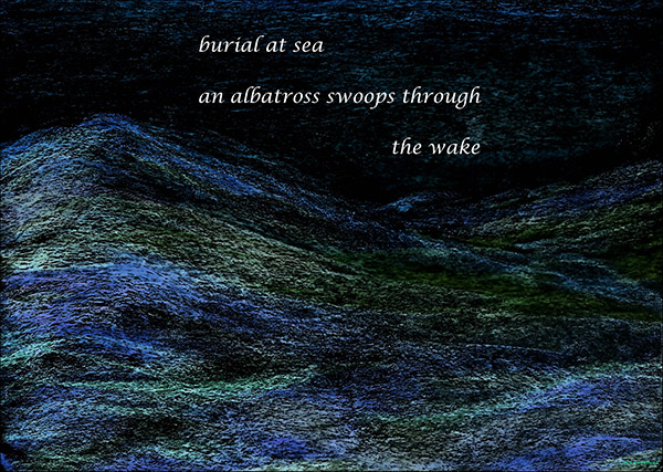 'burial at sea / an albatross swoops through / the wake' by John Hawkhead