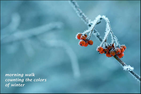 'morning walk / counting the colors / of winter' by Vladislav Hristov